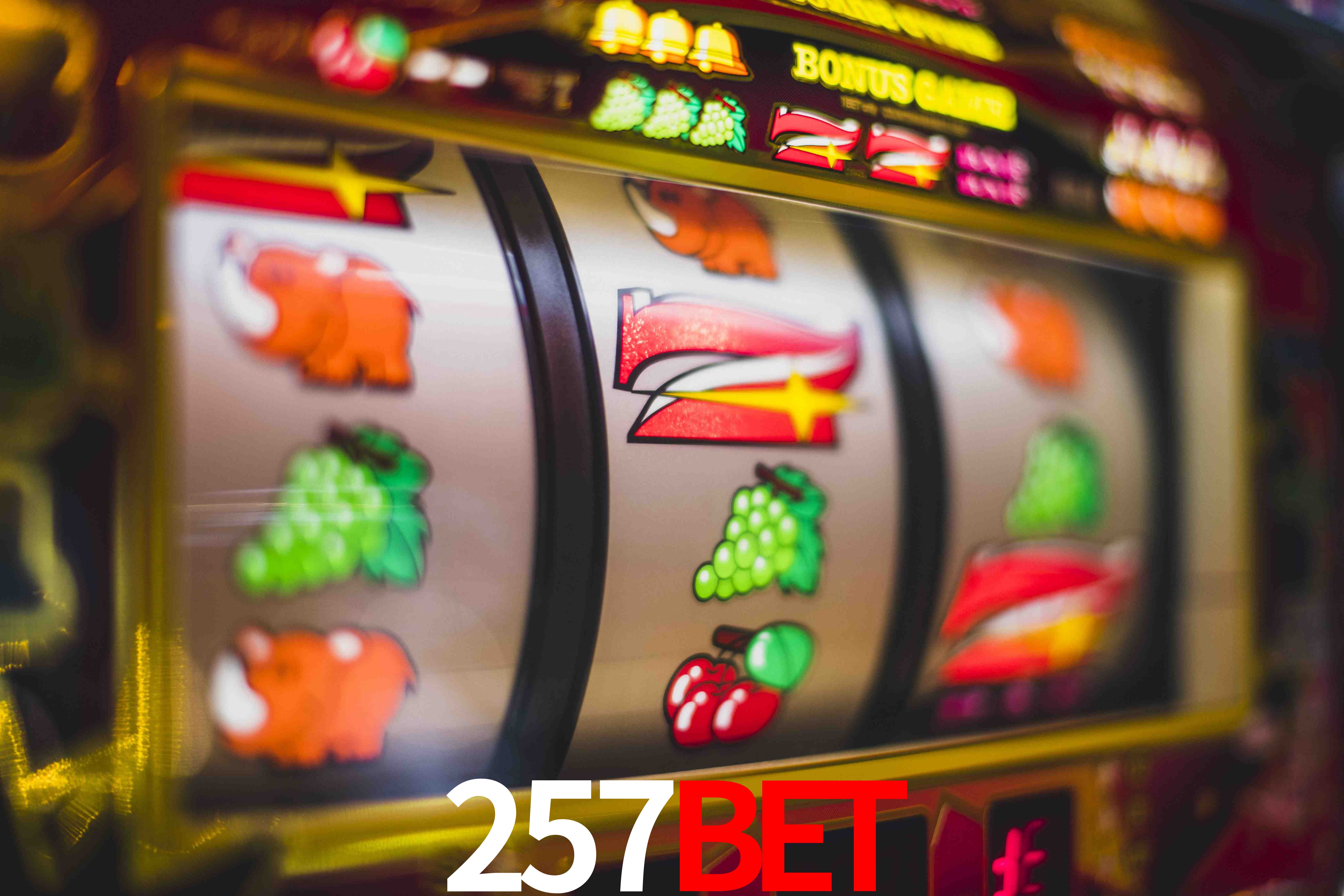 Crash Games Statistics 257bet